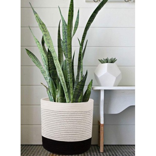 Modern Indoor Planter Basket