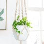 Cotton Rope Hanging Planters