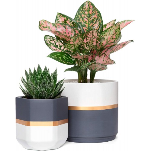 Ceramic Indoor Gardening Pots