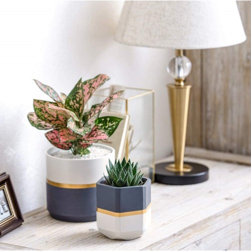Ceramic Indoor Gardening Pots