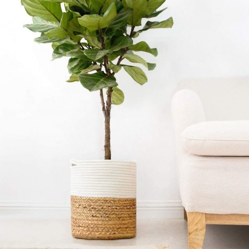 Cotton Water Hyacinth Basket