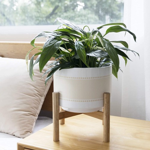 Plant Pot with Wood Stand