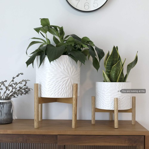 Plant Pot with Wood Stand