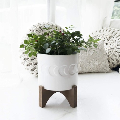 Ceramic Planter with Wood Stand