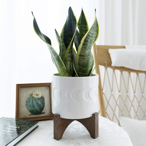 Ceramic Planter with Wood Stand