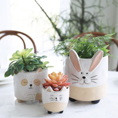 Ceramic Animal Succulent Pots