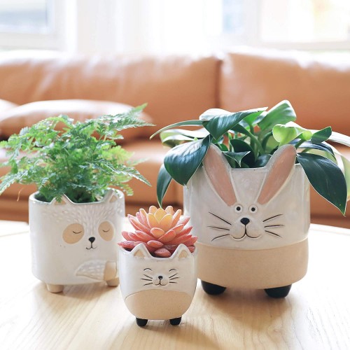 Ceramic Animal Succulent Pots