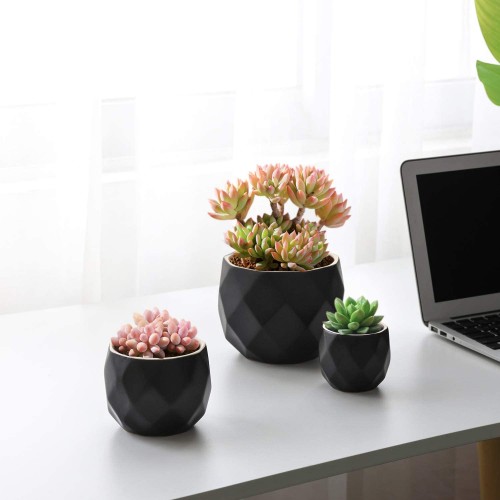 Ceramic Succulent Planter Pot
