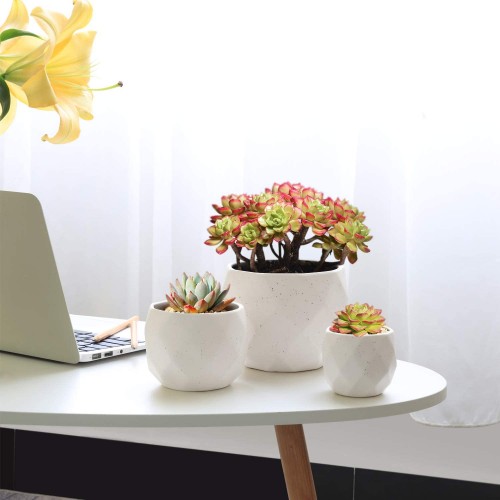 Ceramic Succulent Planter Pot