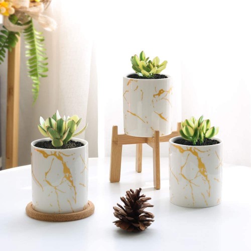 Cylinder Succulent Plant Pot