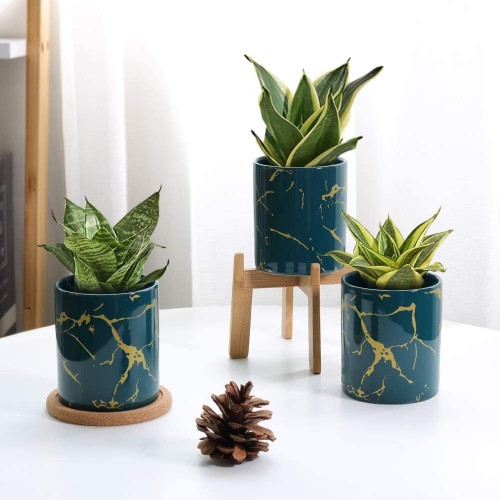Cylinder Succulent Plant Pot
