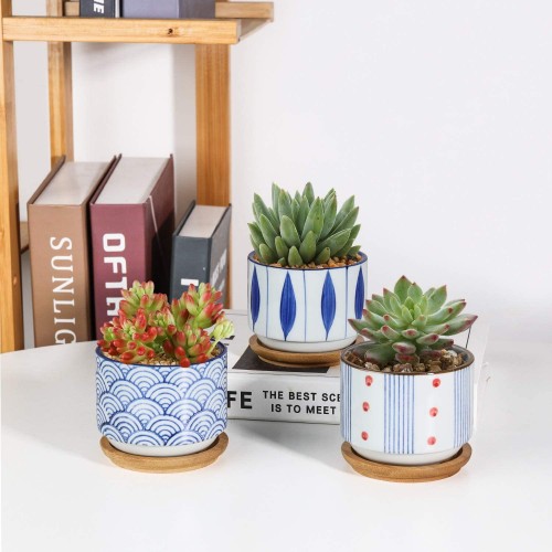 White Ceramic Succulent Pot