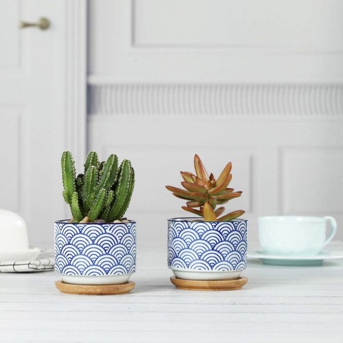 Wave Ceramic Succulent Planter