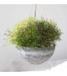 Hanging Planter Flower Pots