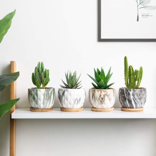 Marbleize Succulent Pots with Tray